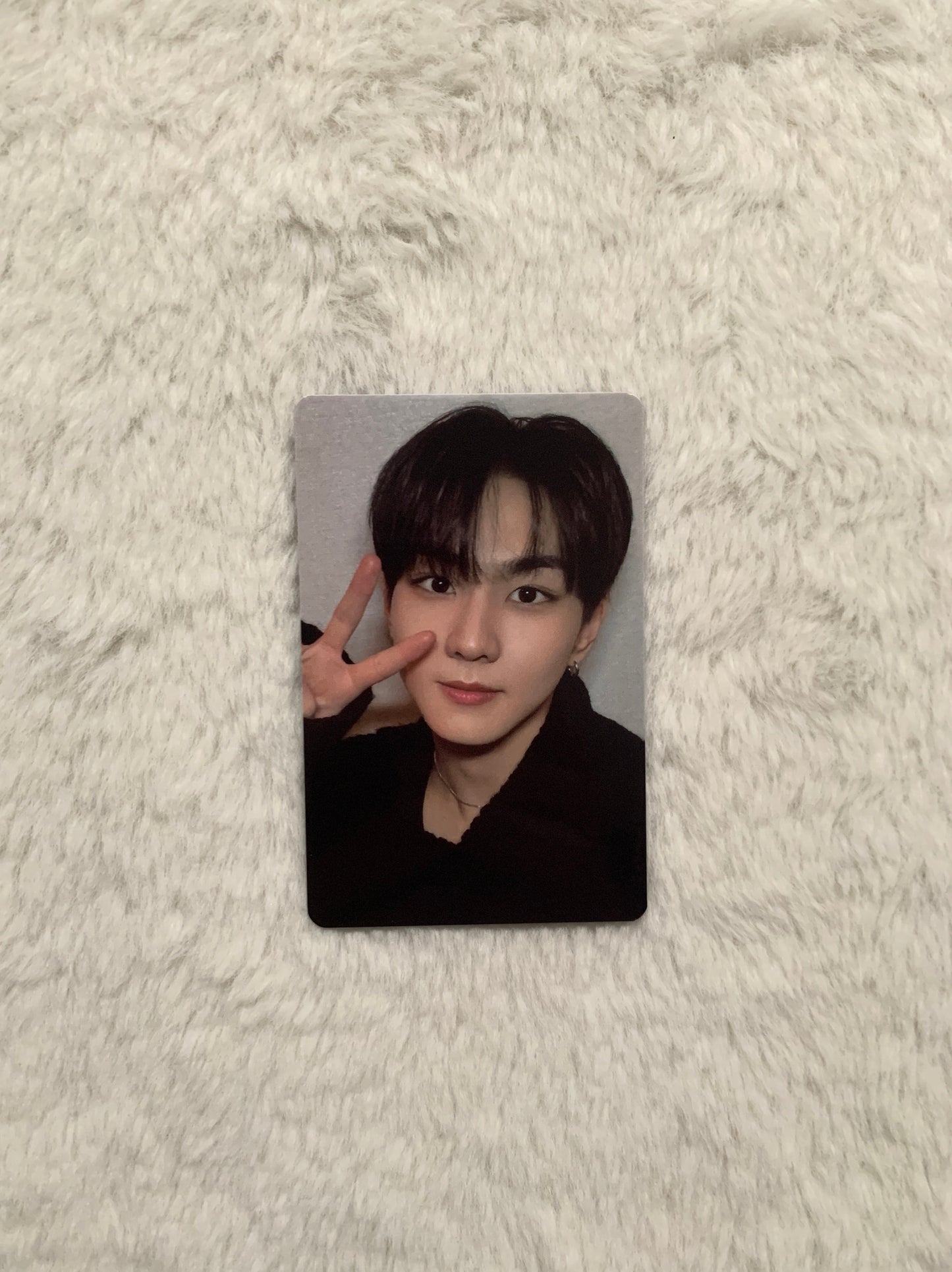 Enhypen Member Photo Cards Collection