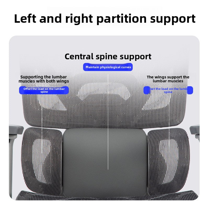 Ergonomic Chair
