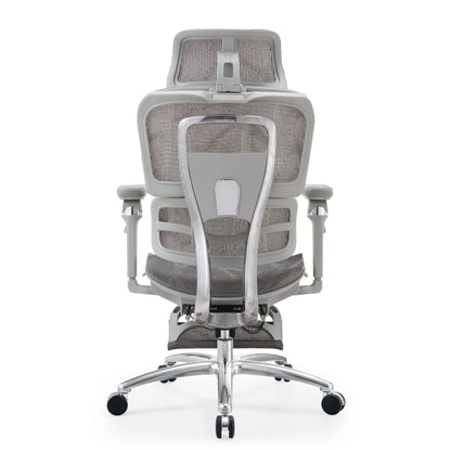 Ergonomic Office Chair