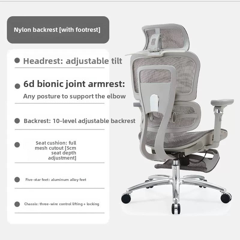 Ergonomic Office Chair