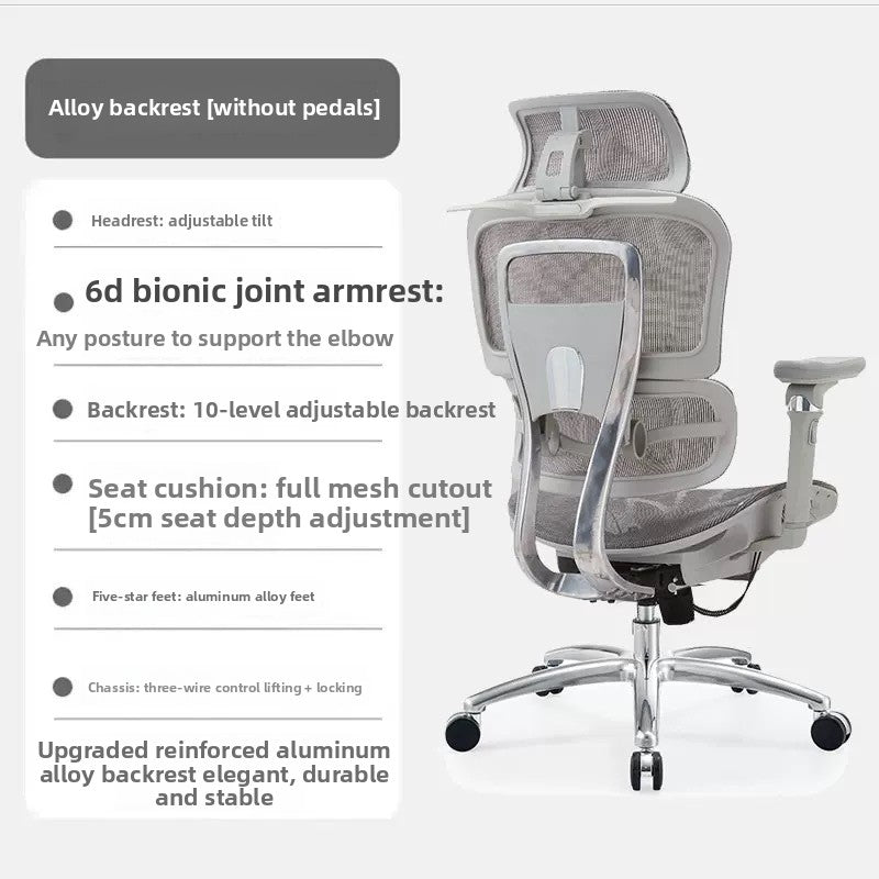 Ergonomic Office Chair