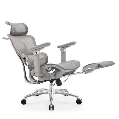 Ergonomic Office Chair