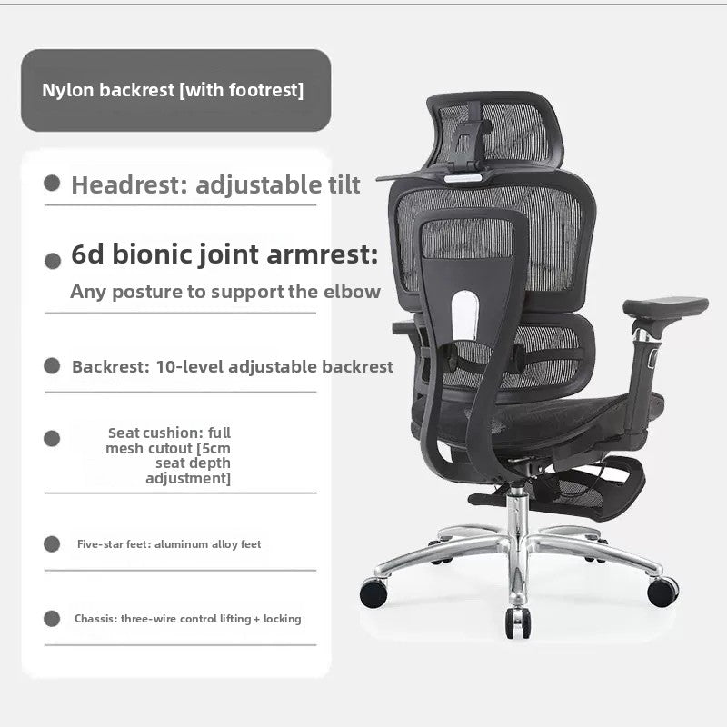 Ergonomic Office Chair