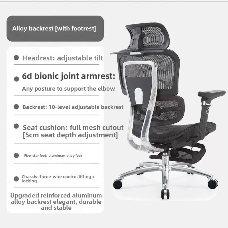 Ergonomic Office Chair