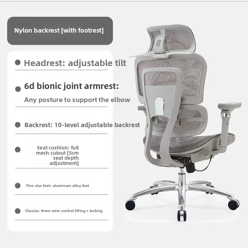 Ergonomic Office Chair
