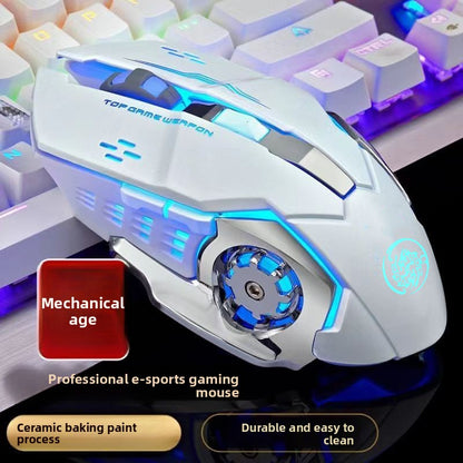 Ergonomic Rechargeable Silent Wireless Mouse