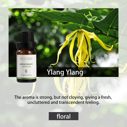 Essential oil for aromatherapy
