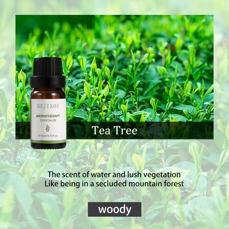 Essential oil for aromatherapy