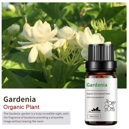 Essential Oil