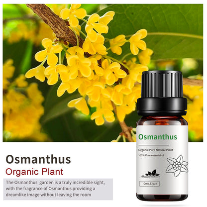 Essential Oil