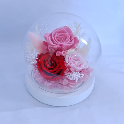 Eternal Flower Glass Dome Rose Gift