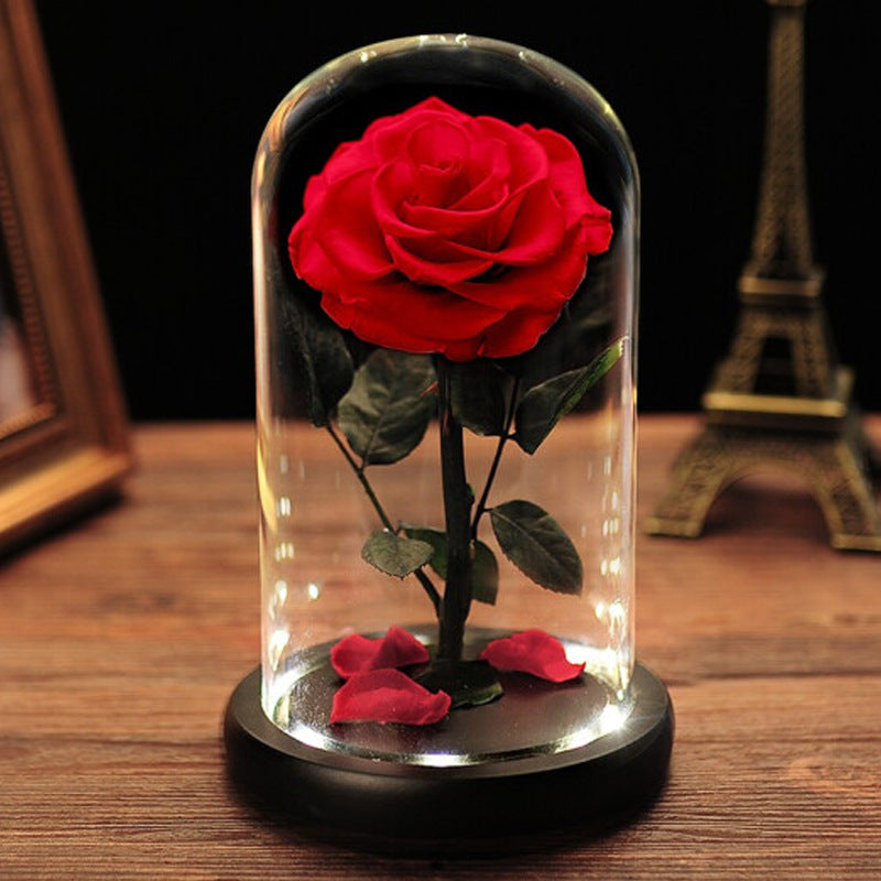 Eternal Flower Glass Dome with LED Light