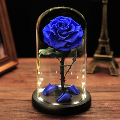 Eternal Flower Glass Dome with LED Light