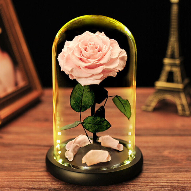Eternal Flower Glass Dome with LED Light
