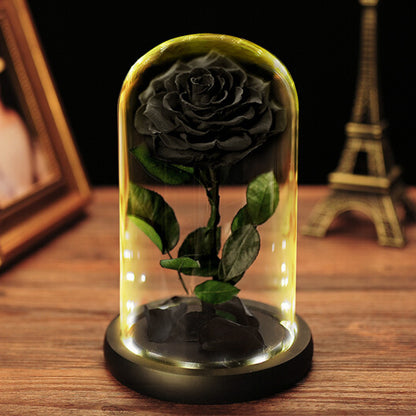 Eternal Flower Glass Dome with LED Light