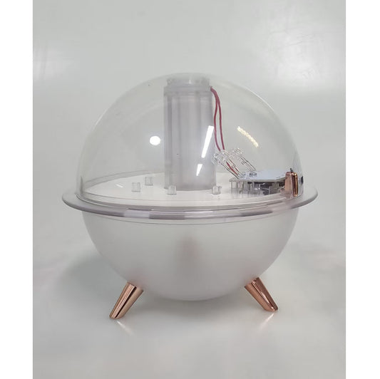 Eternal Flower Humidifier with Star Projection
