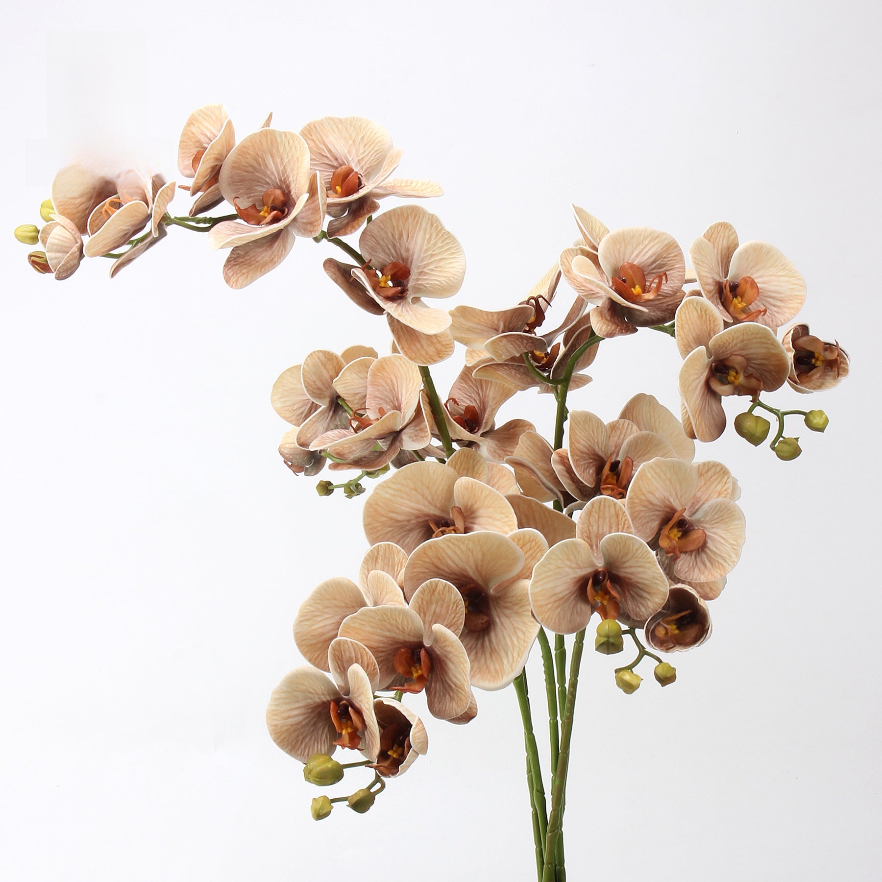 EVA Simulation Phalaenopsis Orchid Floral Decor