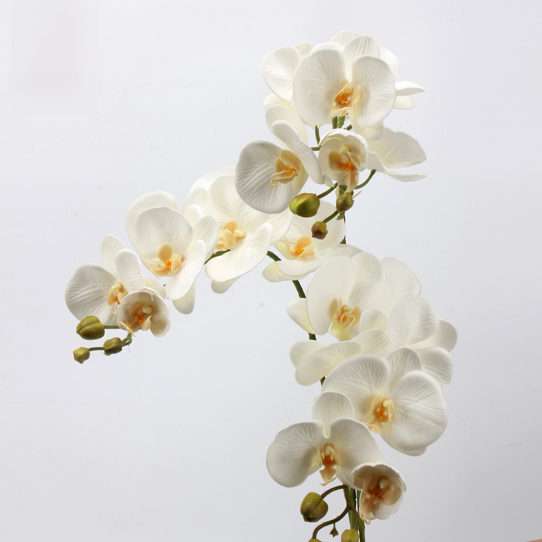 EVA Simulation Phalaenopsis Orchid Floral Decor