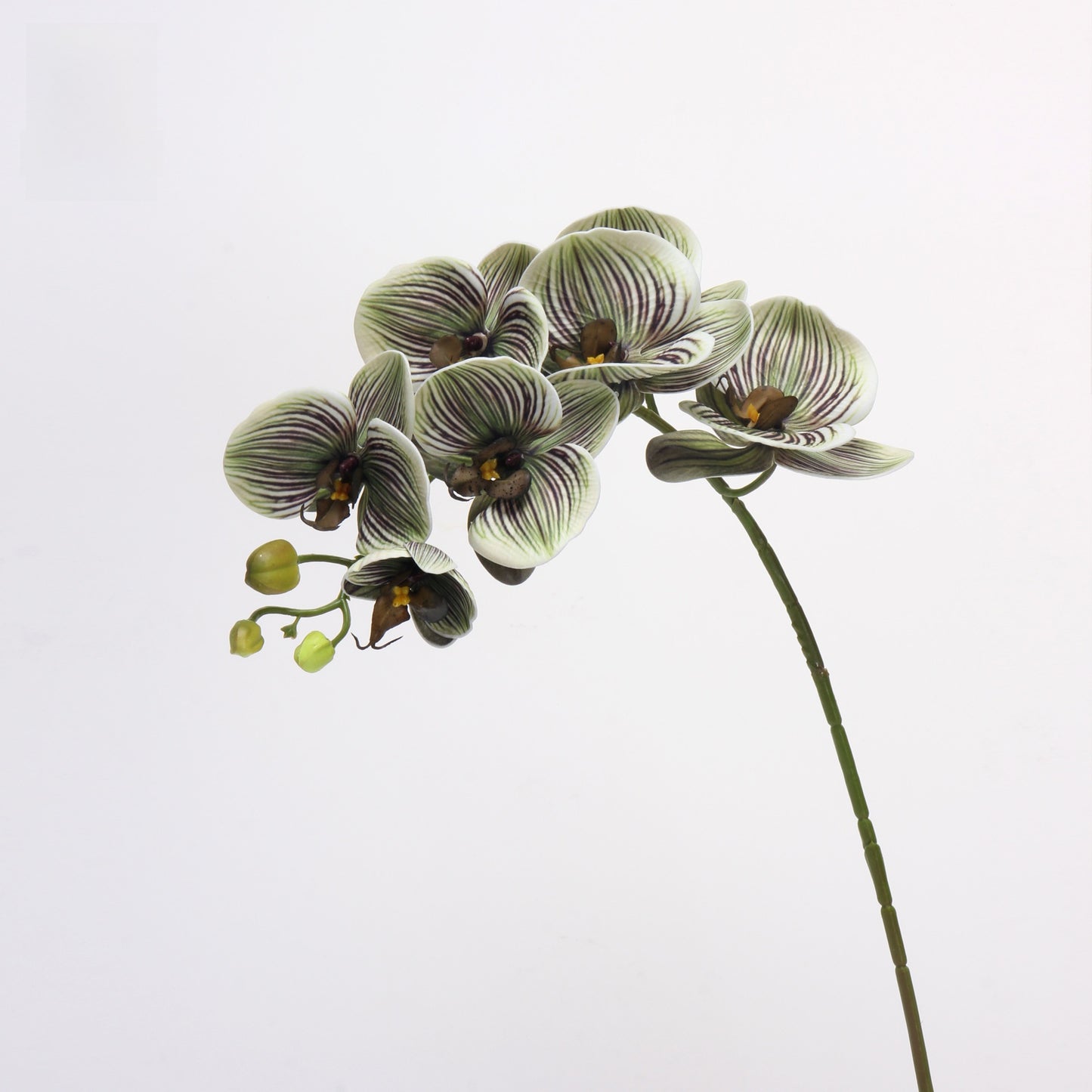 EVA Simulation Phalaenopsis Orchid Floral Decor