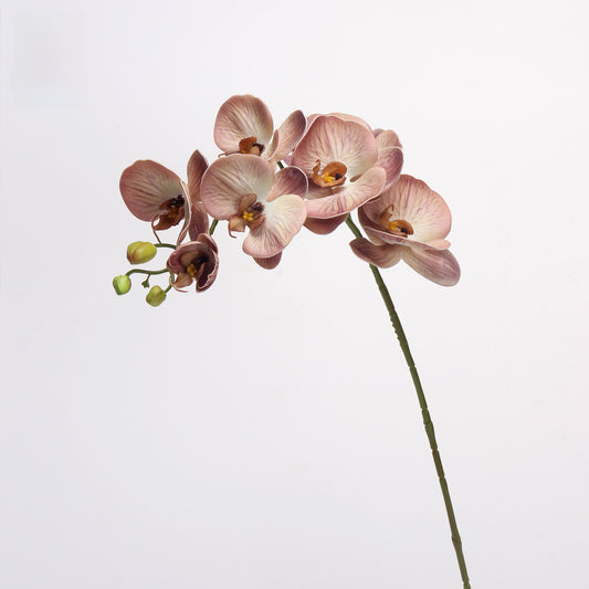 EVA Simulation Phalaenopsis Orchid Floral Decor