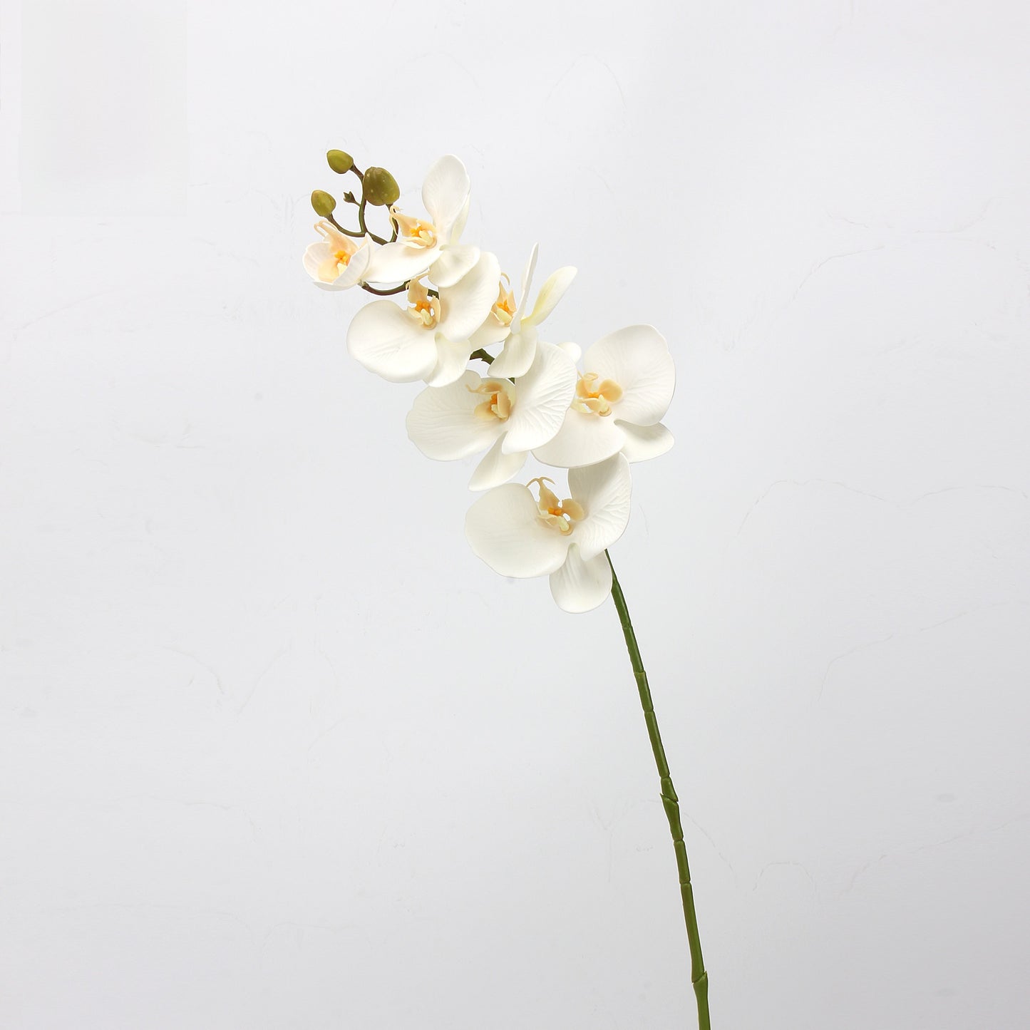 EVA Simulation Phalaenopsis Orchid Floral Decor