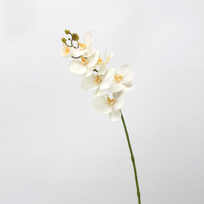 EVA Simulation Phalaenopsis Orchid Floral Decor