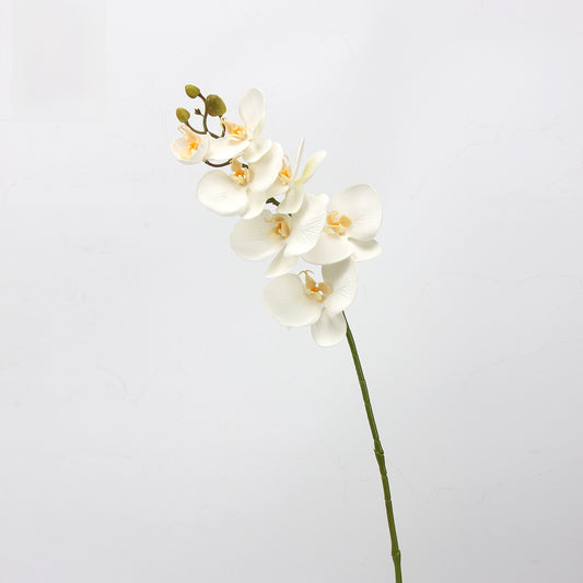 EVA Simulation Phalaenopsis Orchid Floral Decor