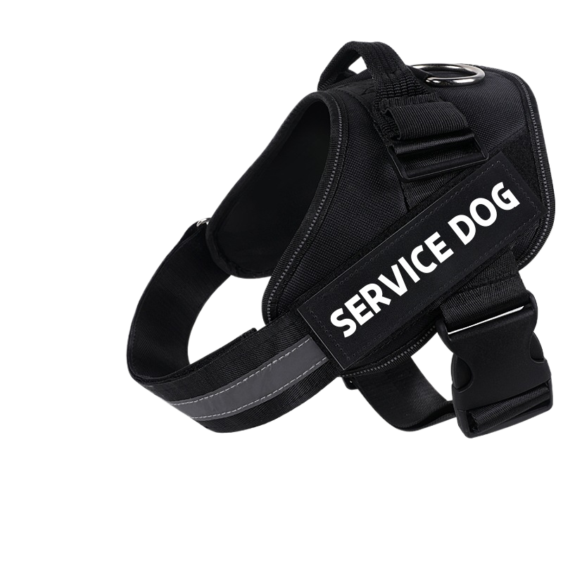 Explosion-proof dog leash