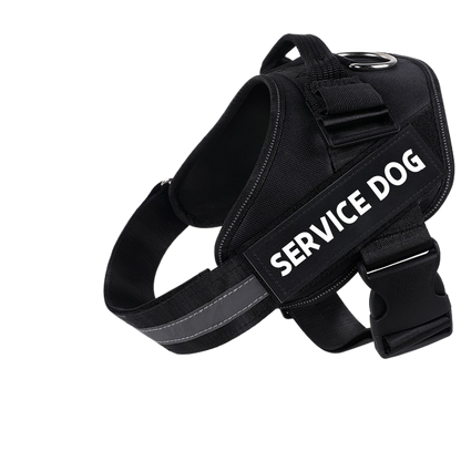 Explosion-proof dog leash