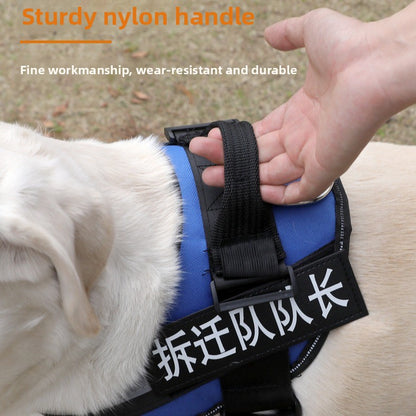 Explosion-proof dog leash