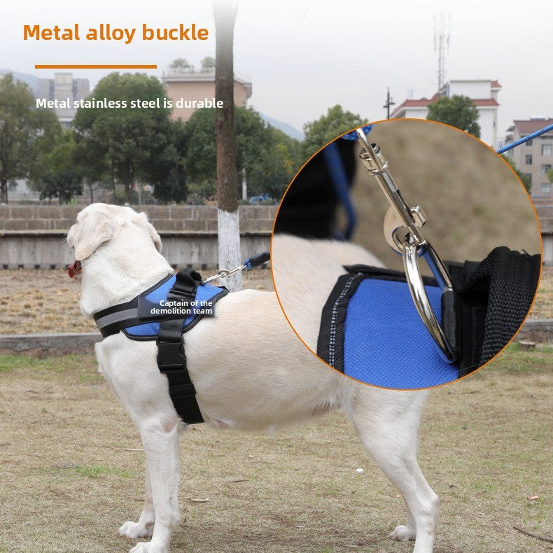 Explosion-proof dog leash