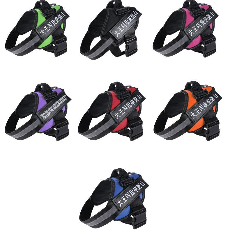 Explosion-proof dog leash