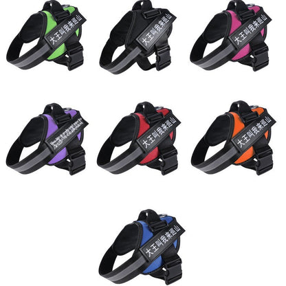 Explosion-proof dog leash