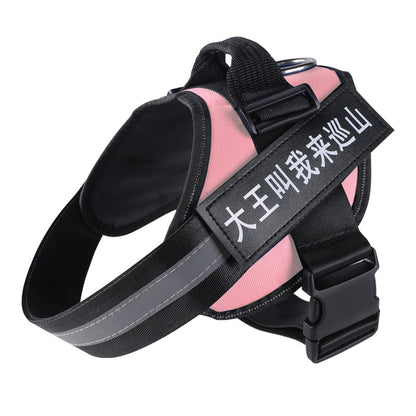 Explosion-proof dog leash