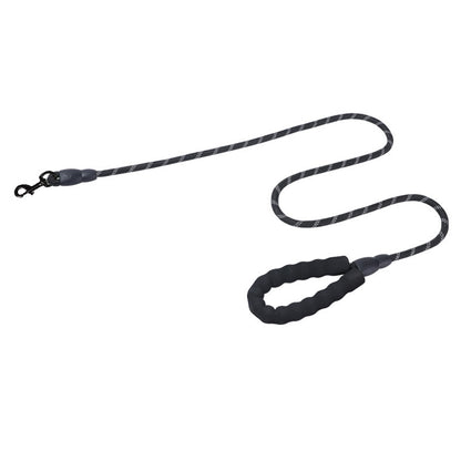 Explosion-proof dog leash