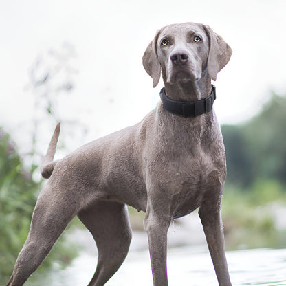 Explosion-Proof Tactical Collar