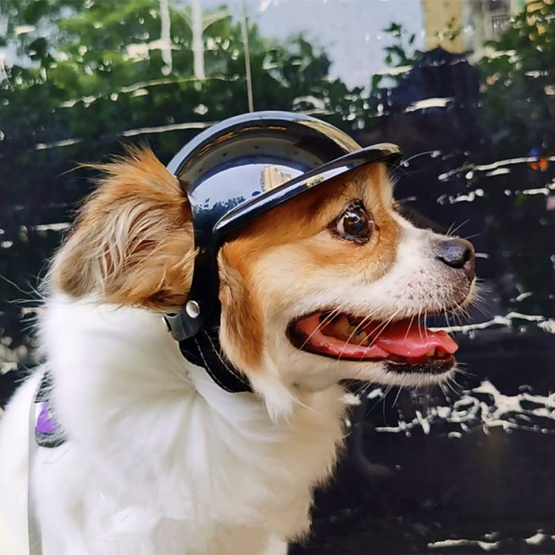 Exposed Ear Pet Helmet