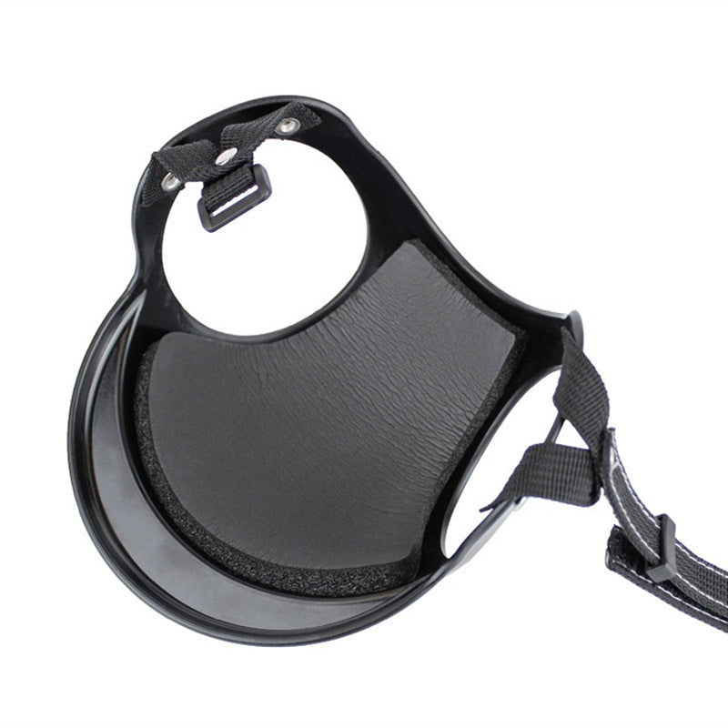Exposed Ear Pet Helmet