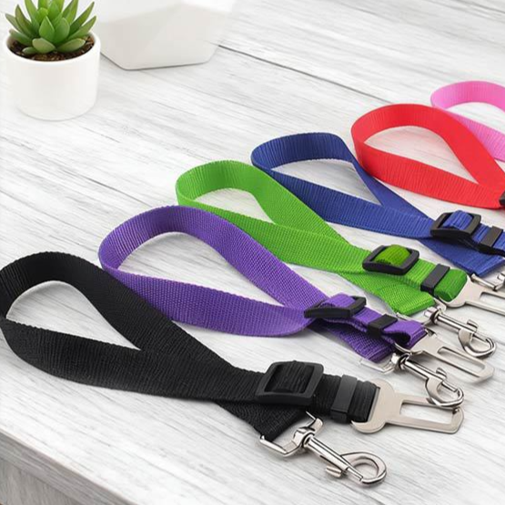 Extendable Pet Leash and Collar Set with Car Accessory