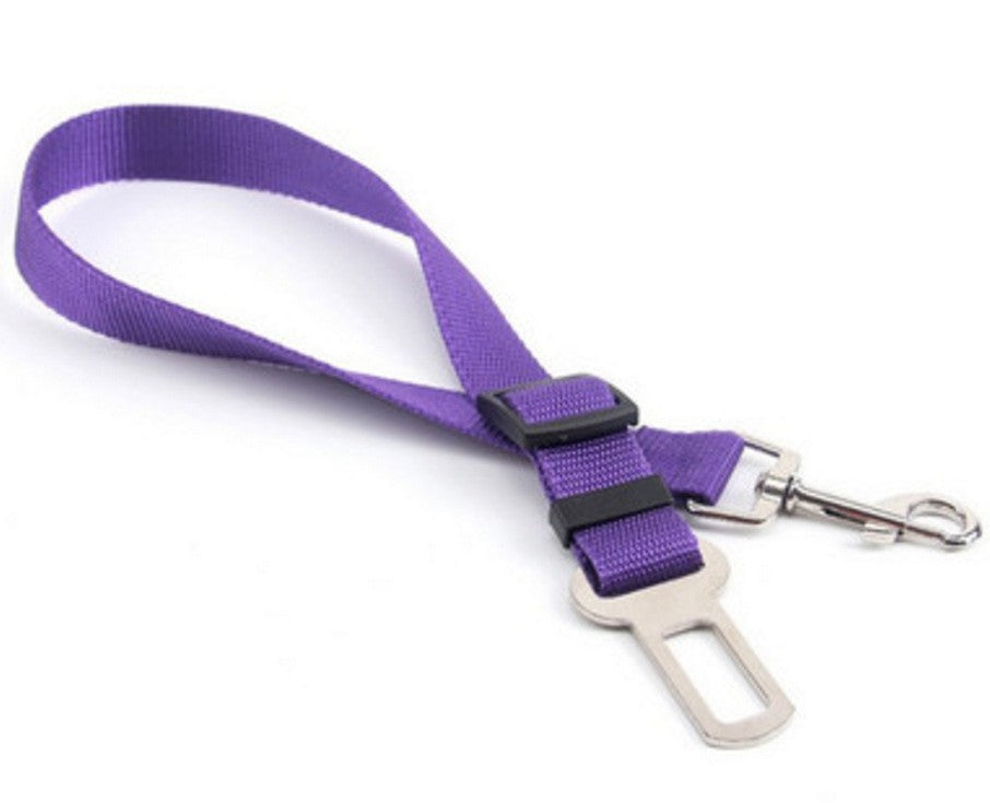 Extendable Pet Leash and Collar Set with Car Accessory