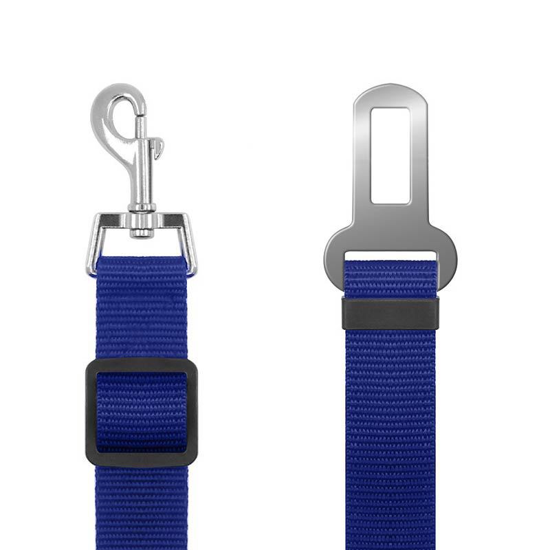 Extendable Pet Leash and Collar Set with Car Accessory