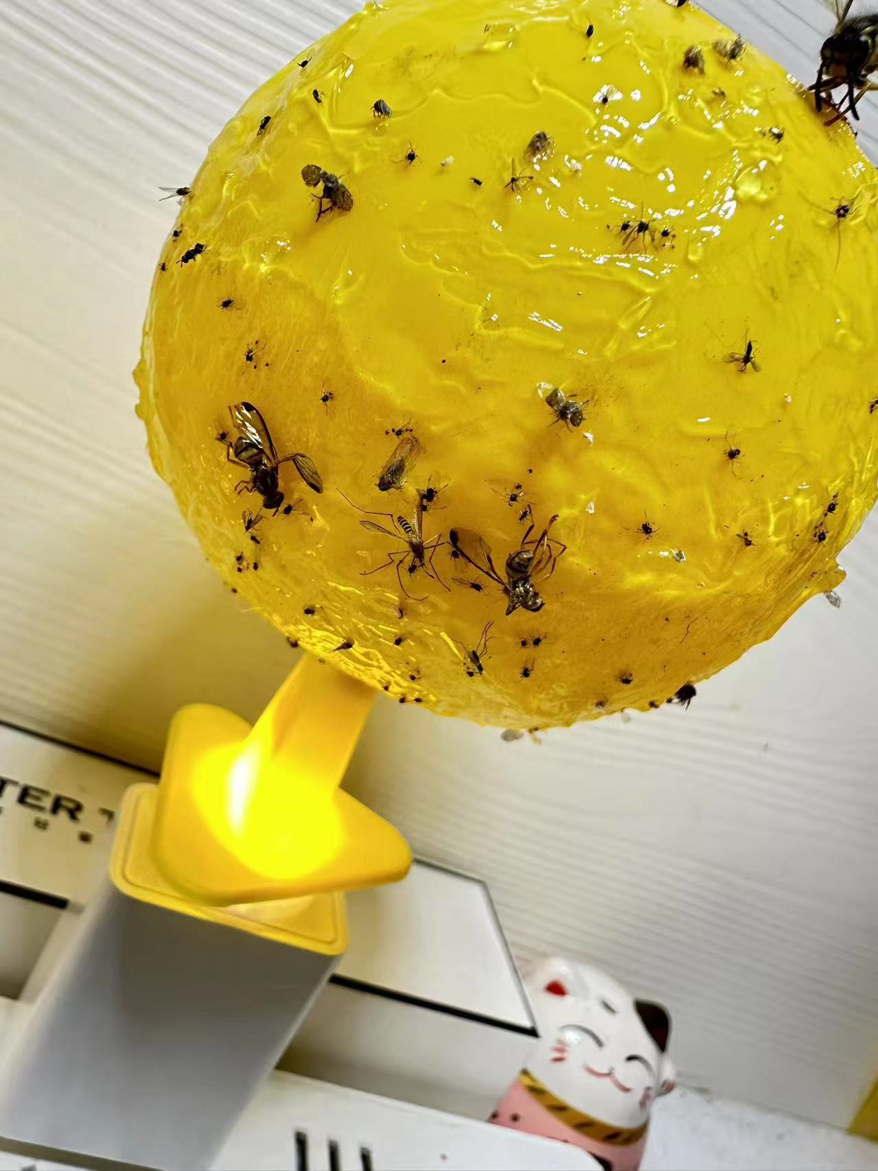 Extinguishing lamp