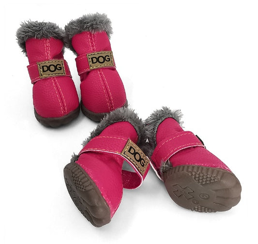 Buy Stylish Pet Shoes & Socks for Indoor and Outdoor Comfort