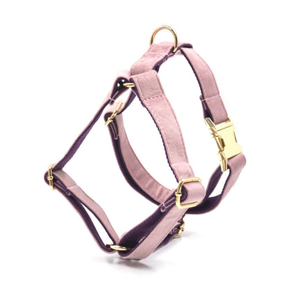 Green Velvet Dog Leash and Collar Comfortable Pet Accessory