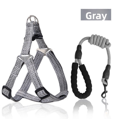 Adjustable Dog Harness Leash with Anti-Pull Comfort Fit Now