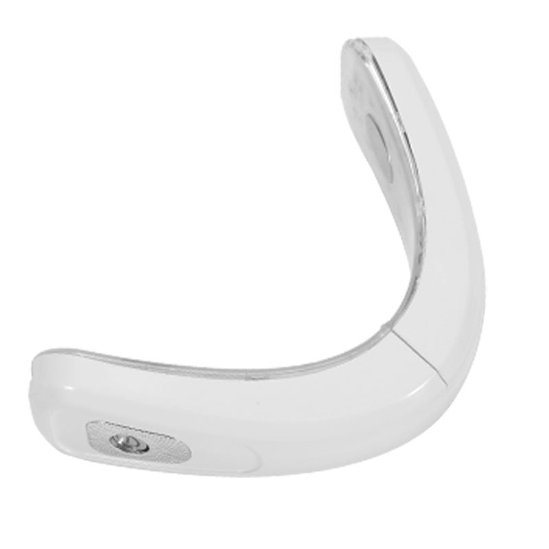 Face Massager