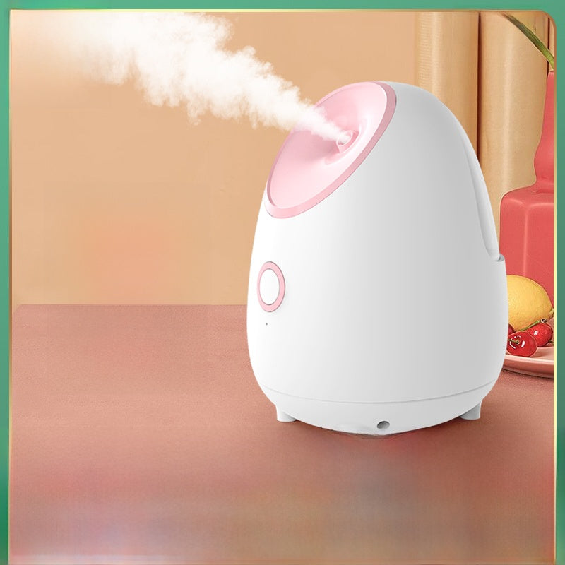 Face steamer