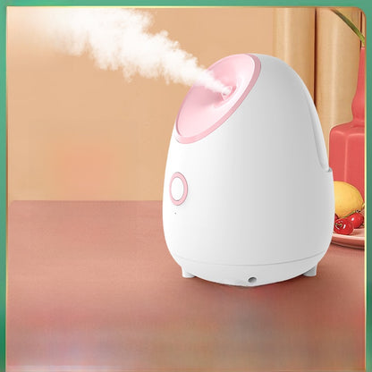 Face steamer