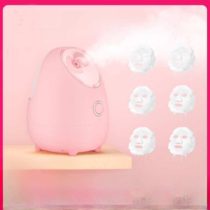 Face steamer