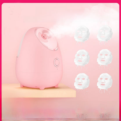 Face steamer